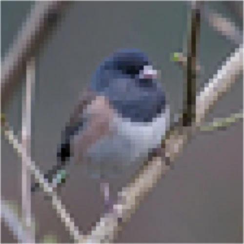 Chất lượng thấp